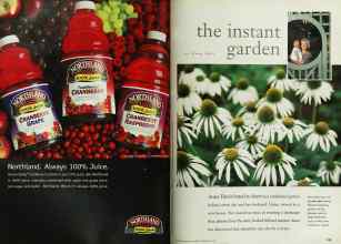 Better Homes & Gardens February 1999 Magazine Article: Page 108
