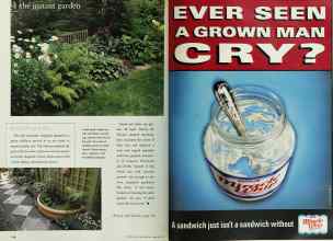 Better Homes & Gardens February 1999 Magazine Article: Page 114