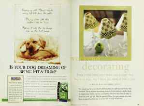 Better Homes & Gardens February 1999 Magazine Article: Page 126