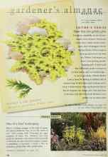 Better Homes & Gardens March 1999 Magazine Article: EDITOR'S CHOICE