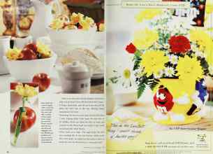 Better Homes & Gardens March 1999 Magazine Article: Page 36