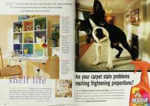 Better Homes & Gardens March 1999 Magazine Article: Page 48