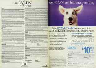 Better Homes & Gardens March 1999 Magazine Article: Page 92