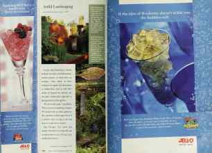 Better Homes & Gardens March 1999 Magazine Article: Page 110