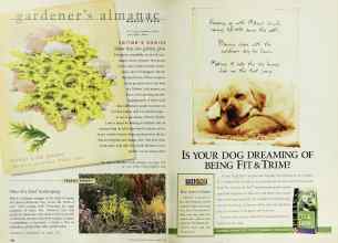 Better Homes & Gardens March 1999 Magazine Article: Page 120