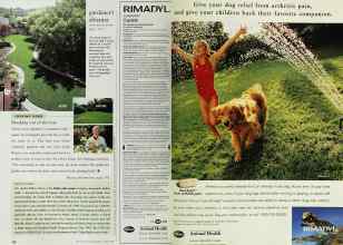 Better Homes & Gardens March 1999 Magazine Article: Page 126