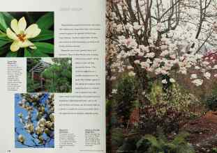 Better Homes & Gardens March 1999 Magazine Article: Page 132