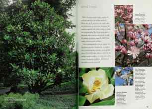 Better Homes & Gardens March 1999 Magazine Article: Page 134