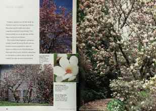 Better Homes & Gardens March 1999 Magazine Article: Page 136