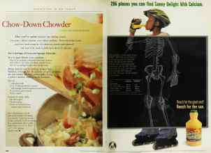 Better Homes & Gardens March 1999 Magazine Article: Page 208