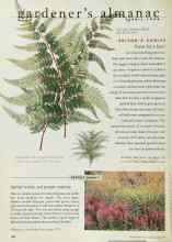 Better Homes & Gardens April 1999 Magazine Article: EDITOR'S CHOICE