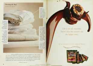 Better Homes & Gardens April 1999 Magazine Article: Page 38