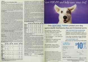 Better Homes & Gardens April 1999 Magazine Article: Page 110