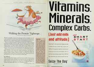 Better Homes & Gardens April 1999 Magazine Article: Page 118