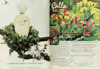 Better Homes & Gardens April 1999 Magazine Article: Page 150