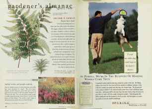 Better Homes & Gardens April 1999 Magazine Article: Page 152
