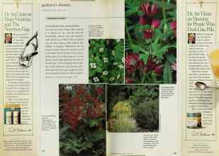 Better Homes & Gardens April 1999 Magazine Article: LOOKING GOOD