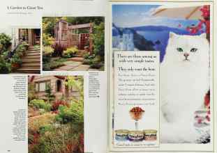 Better Homes & Gardens April 1999 Magazine Article: Page 170