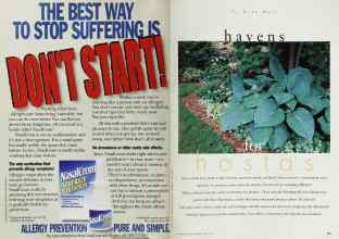 Better Homes & Gardens April 1999 Magazine Article: Page 180