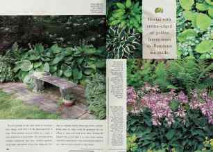 Better Homes & Gardens April 1999 Magazine Article: Page 184