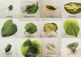 Better Homes & Gardens April 1999 Magazine Article: Page 186