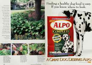 Better Homes & Gardens April 1999 Magazine Article: Page 188