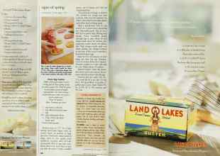 Better Homes & Gardens April 1999 Magazine Article: Page 226