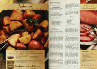 Better Homes & Gardens April 1999 Magazine Article: Page 228