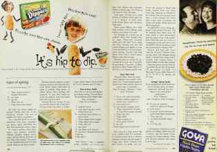 Better Homes & Gardens April 1999 Magazine Article: Page 234