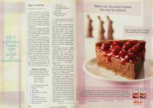 Better Homes & Gardens April 1999 Magazine Article: Page 236