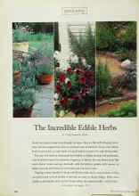 Better Homes & Gardens May 1999 Magazine Article: The Incredible Edible Herbs