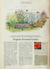 Better Homes & Gardens May 1999 Magazine Article: Fragrant Perennial Garden