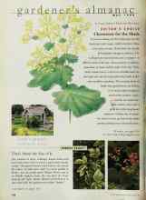 Better Homes & Gardens May 1999 Magazine Article: Chartreuse for the Shade