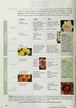 Better Homes & Gardens May 1999 Magazine Article: daffodils and daylilies to go