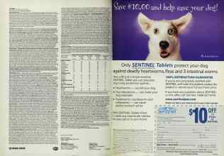 Better Homes & Gardens May 1999 Magazine Article: Page 118