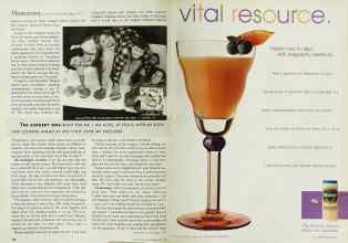 Better Homes & Gardens May 1999 Magazine Article: Page 120