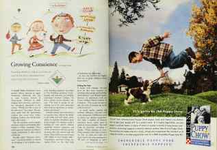 Better Homes & Gardens May 1999 Magazine Article: Page 162