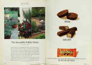 Better Homes & Gardens May 1999 Magazine Article: Page 174
