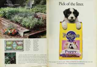 Better Homes & Gardens May 1999 Magazine Article: Page 182