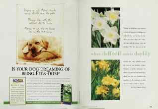 Better Homes & Gardens May 1999 Magazine Article: Page 198