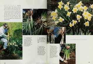 Better Homes & Gardens May 1999 Magazine Article: Page 202