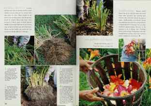 Better Homes & Gardens May 1999 Magazine Article: Page 204