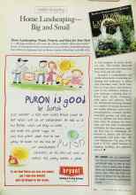 Better Homes & Gardens June 1999 Magazine Article: Home Landscaping--Big and Small