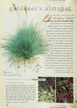 Better Homes & Gardens June 1999 Magazine Article: Compare and Contrast