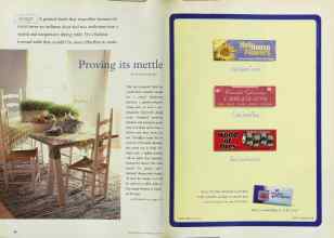 Better Homes & Gardens June 1999 Magazine Article: Page 60