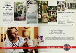 Better Homes & Gardens June 1999 Magazine Article: Backyard Projects You Can Build
