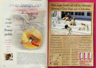 Better Homes & Gardens June 1999 Magazine Article: Page 106