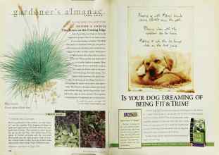 Better Homes & Gardens June 1999 Magazine Article: Page 158