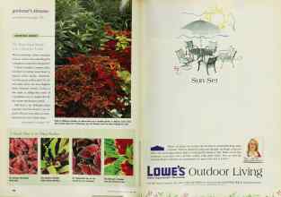 Better Homes & Gardens June 1999 Magazine Article: Page 160