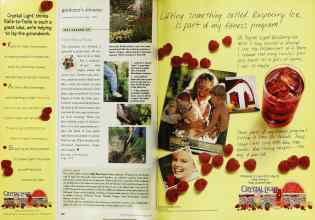 Better Homes & Gardens June 1999 Magazine Article: Page 162